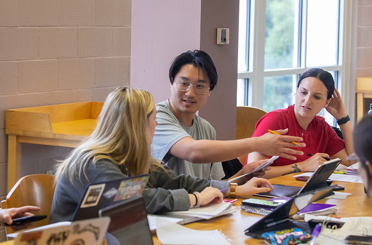 Students studying in the library